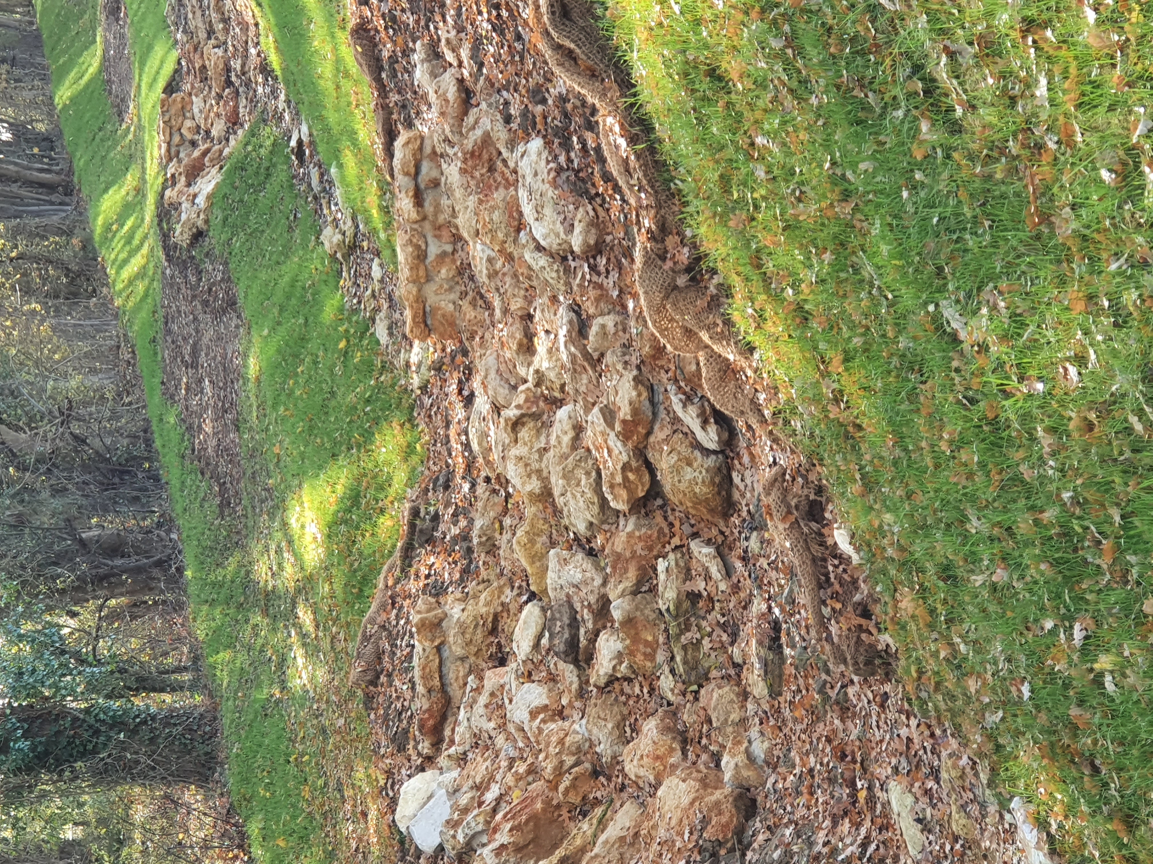 Aménagement paysager en pierre dans un milieu naturel